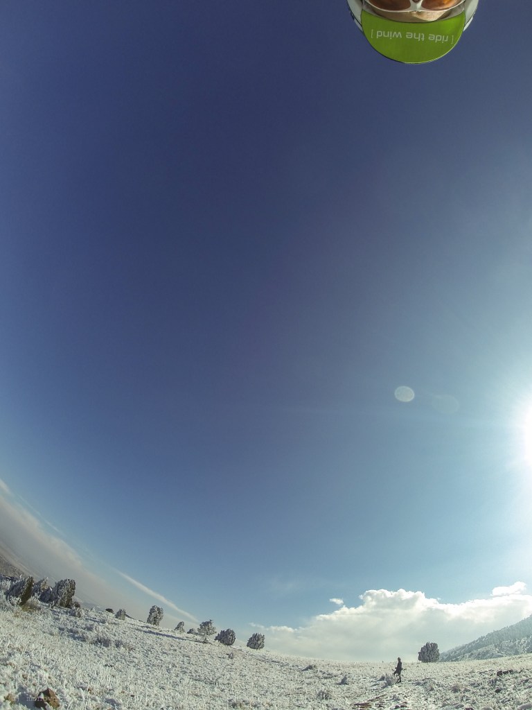 G0264548