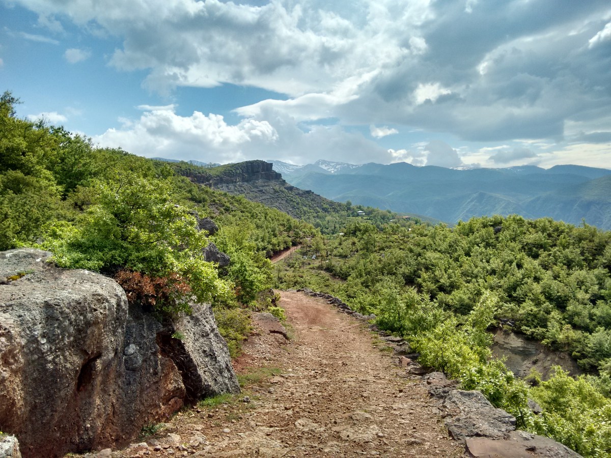 IMG_20150510_101520818_HDR