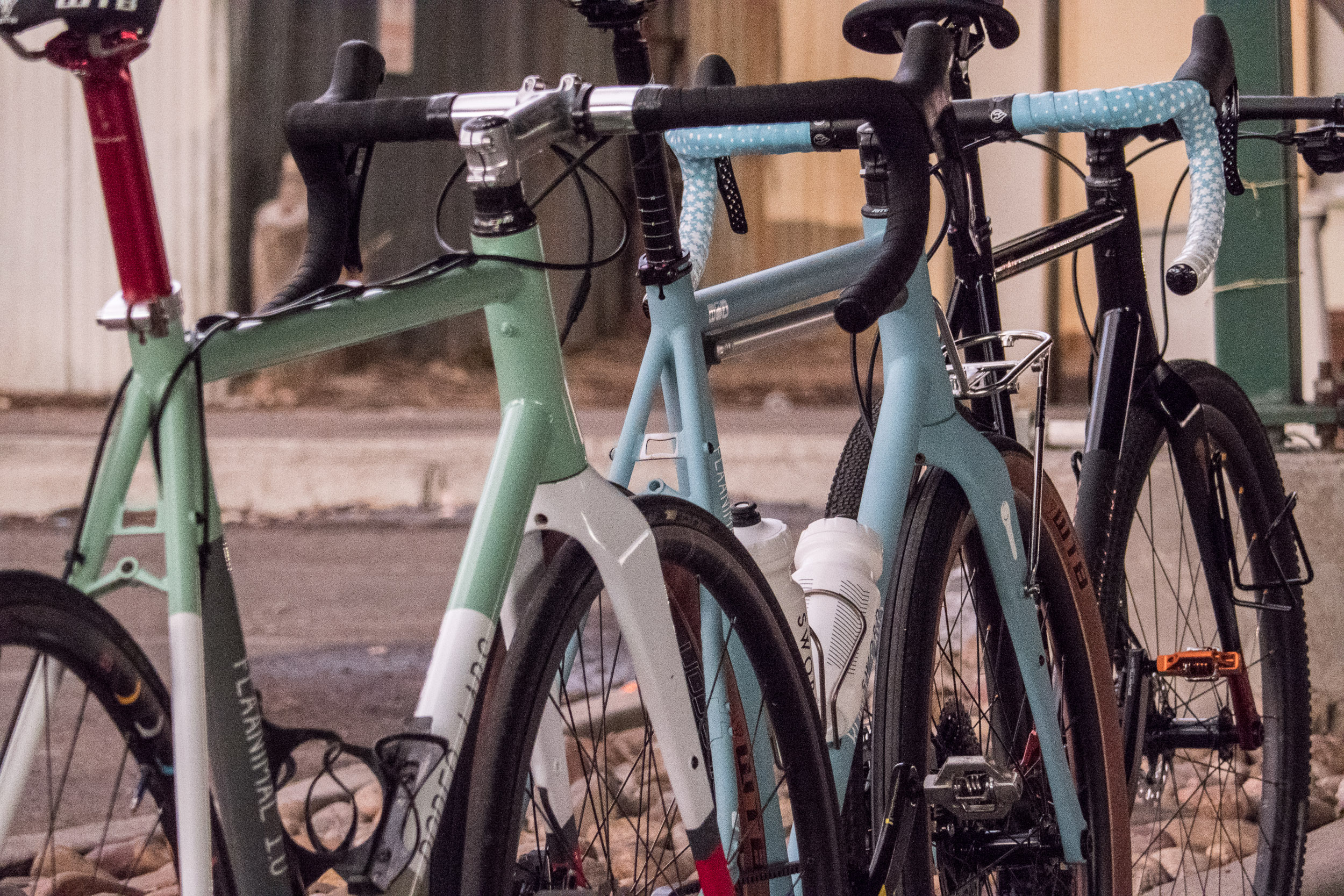 Flaanimals in Road Bike, Adventure Bike, and Trail Bike configurations