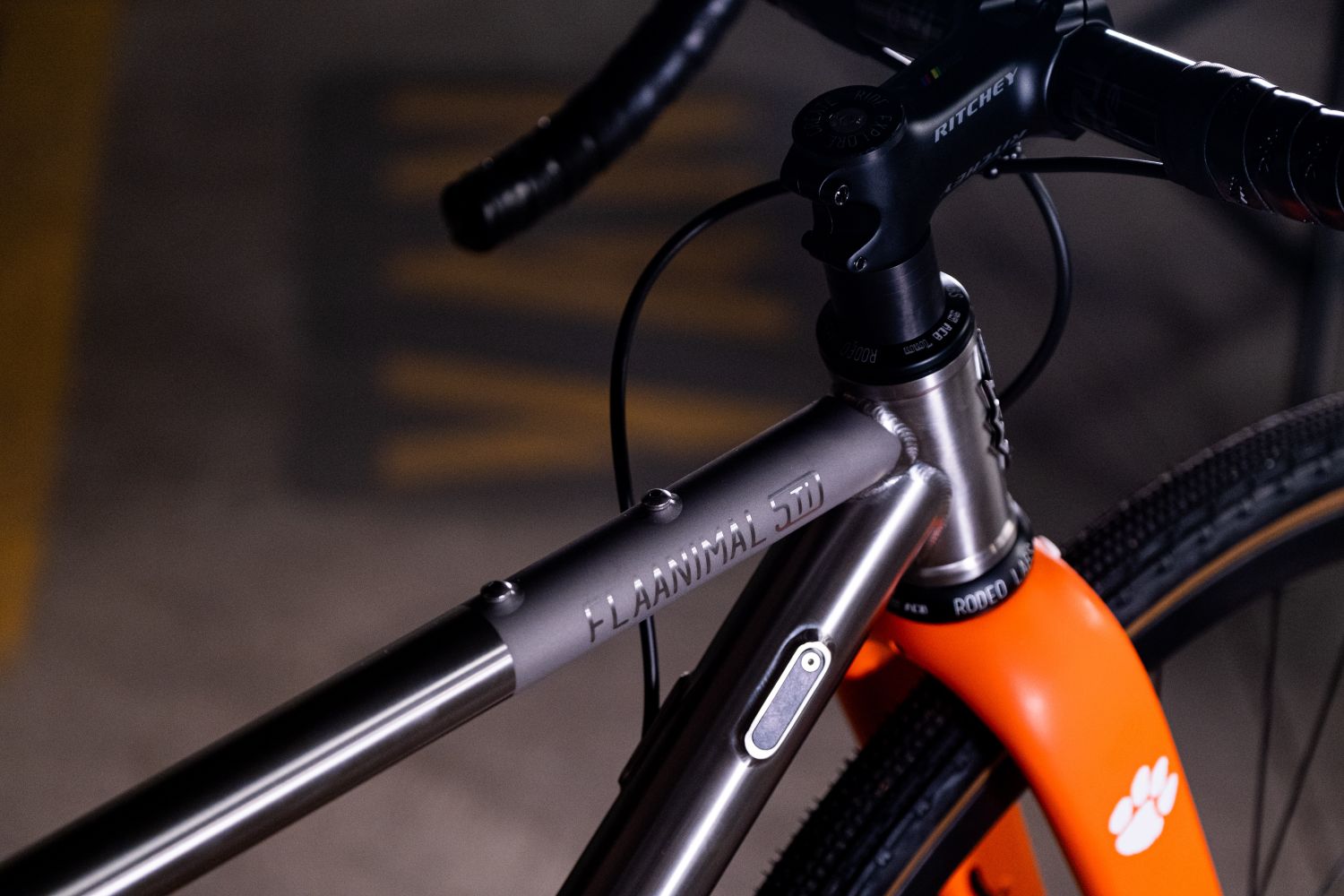 Close-up of a bicycle frame featuring a titanium design with the inscription 'FLAANIMAL 535' and orange fork, set against a blurred background.
