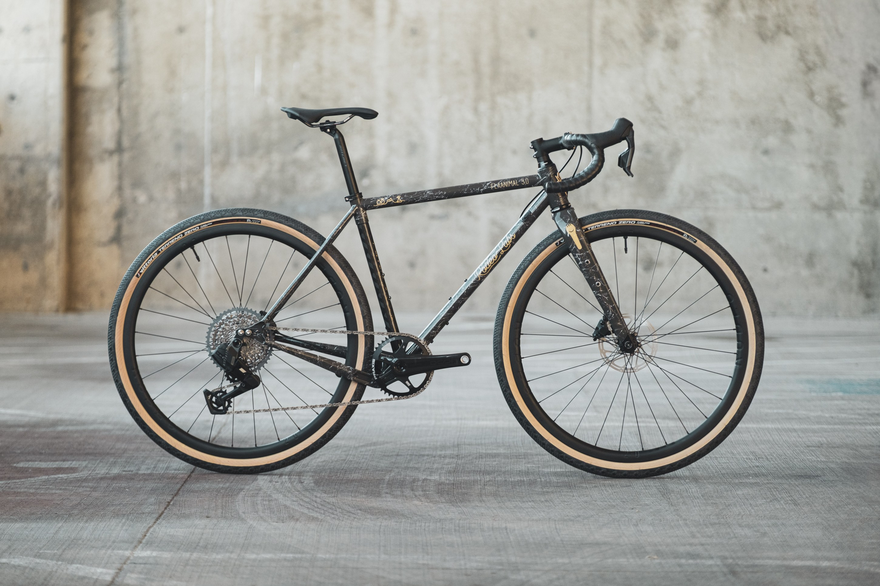 A stylish gravel bike with wide tires and a sleek frame, positioned against a textured concrete background.