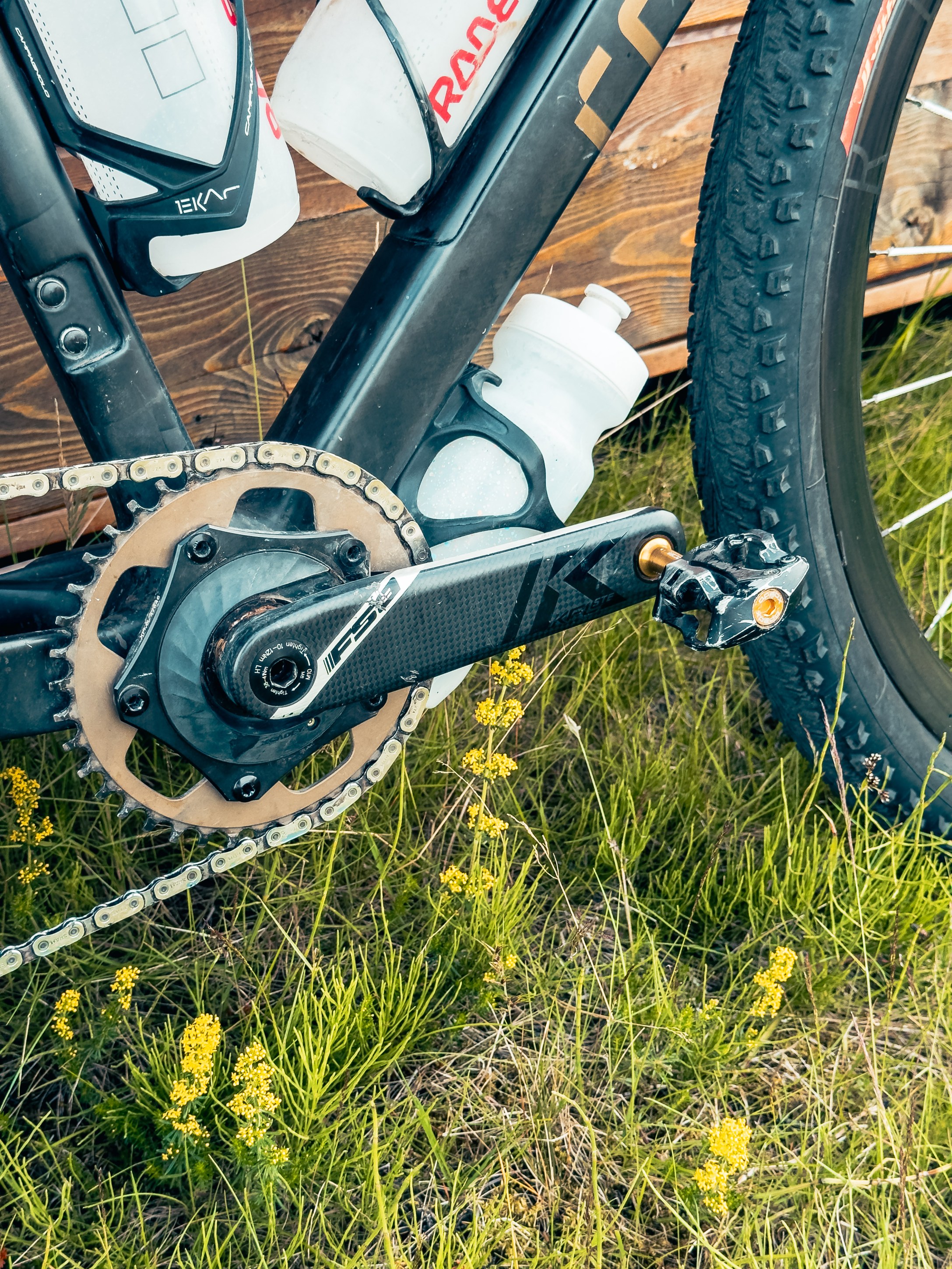 Close-up view of a bicycle crankset with a carbon fiber pedal, chainring, and chain, featuring water bottle holders on the bike frame, set against green grass and yellow flowers.