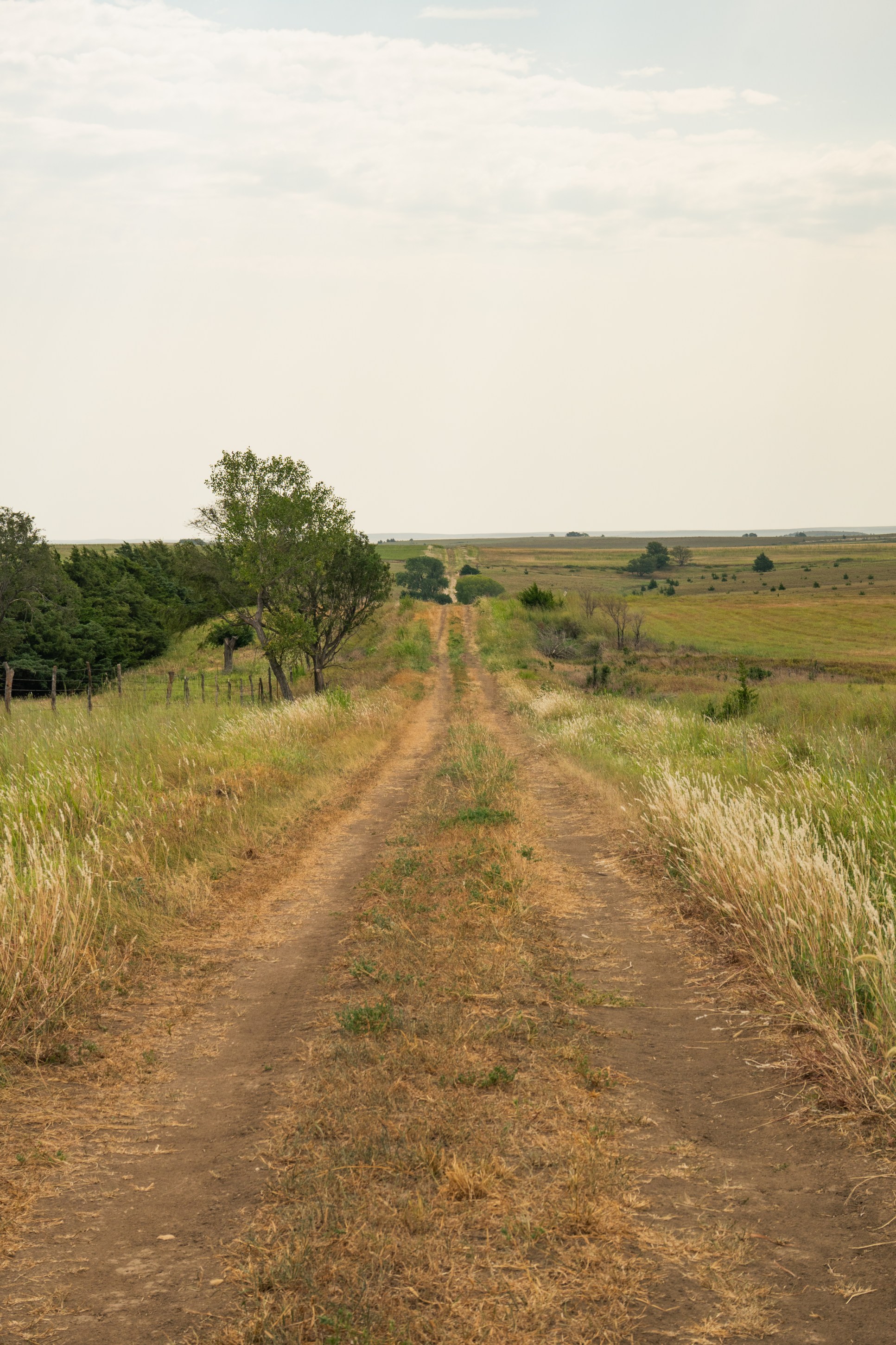 A dirt road running through a grassy landscape, flanked by trees and fields, under a cloudy sky.