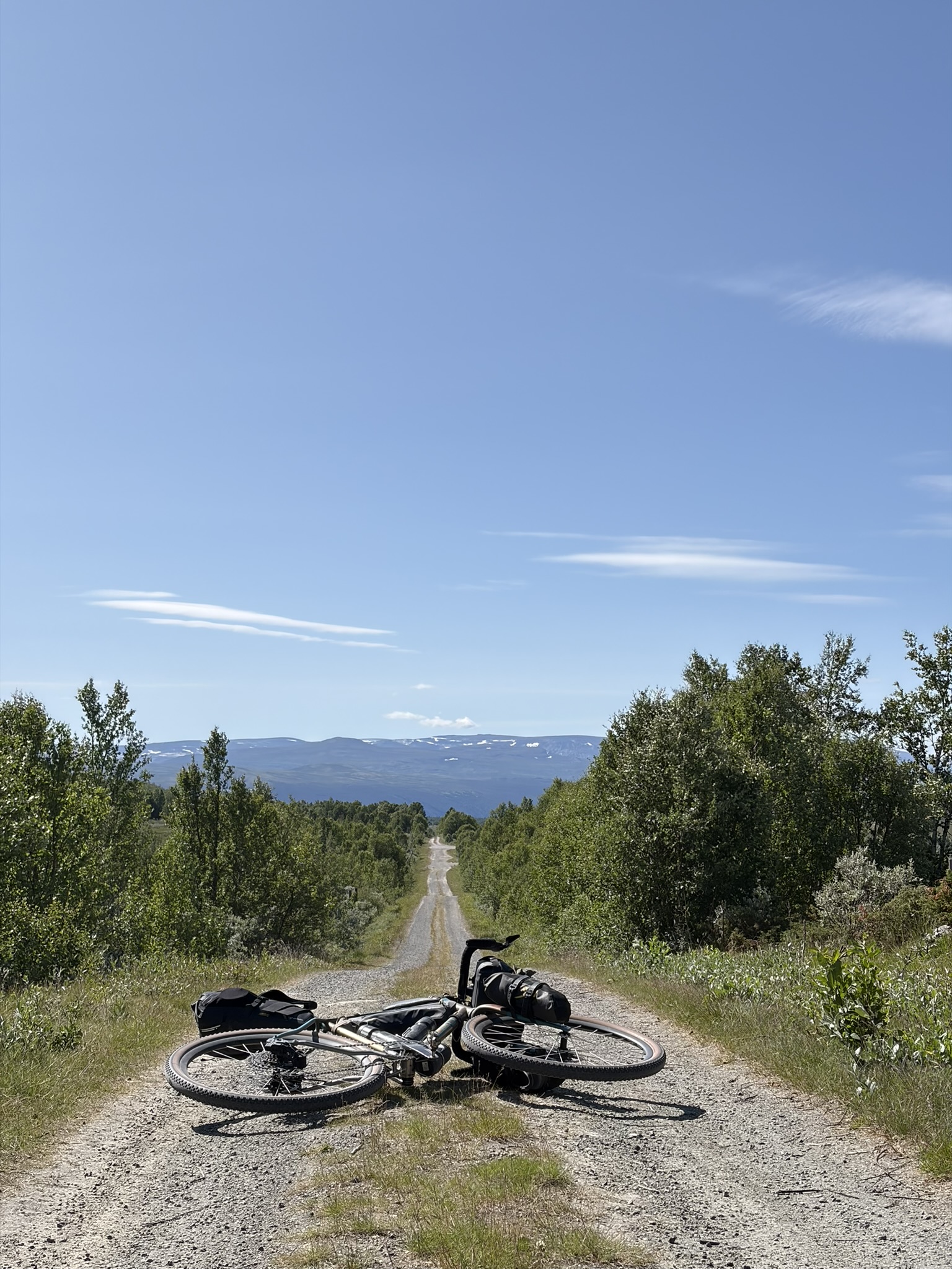 A close-up view of a bicycle lying on a gravel path, surrounded by greenery and a clear blue sky in the background.